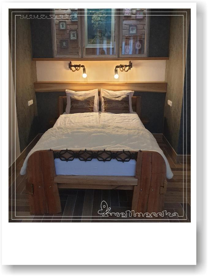Wellnesska Vyhne Villa Kültér fotó