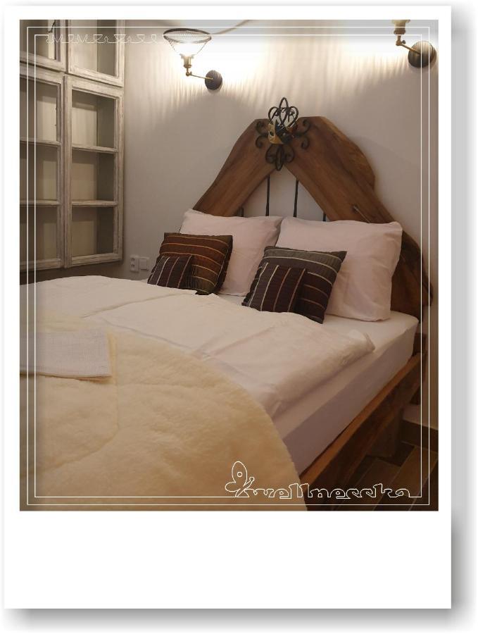 Wellnesska Vyhne Villa Kültér fotó