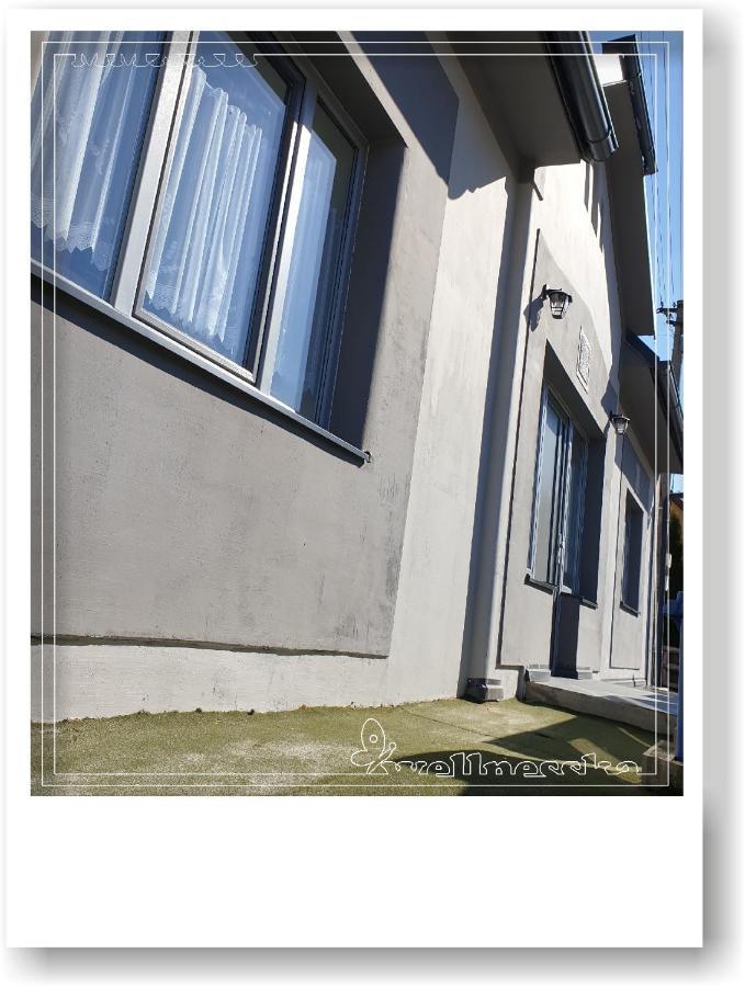 Wellnesska Vyhne Villa Kültér fotó
