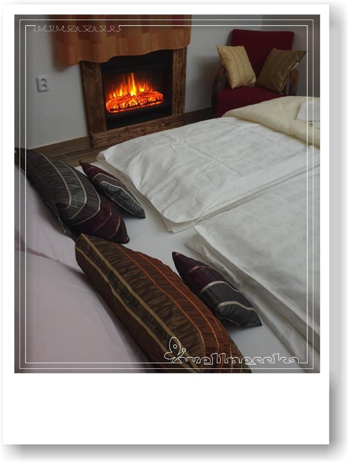 Wellnesska Vyhne Villa Kültér fotó