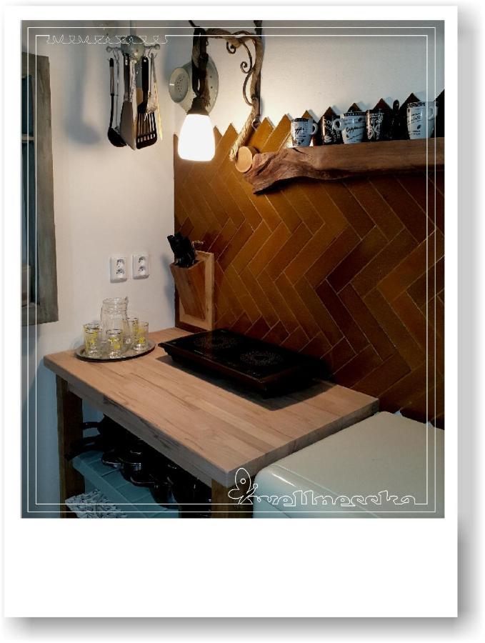 Wellnesska Vyhne Villa Kültér fotó