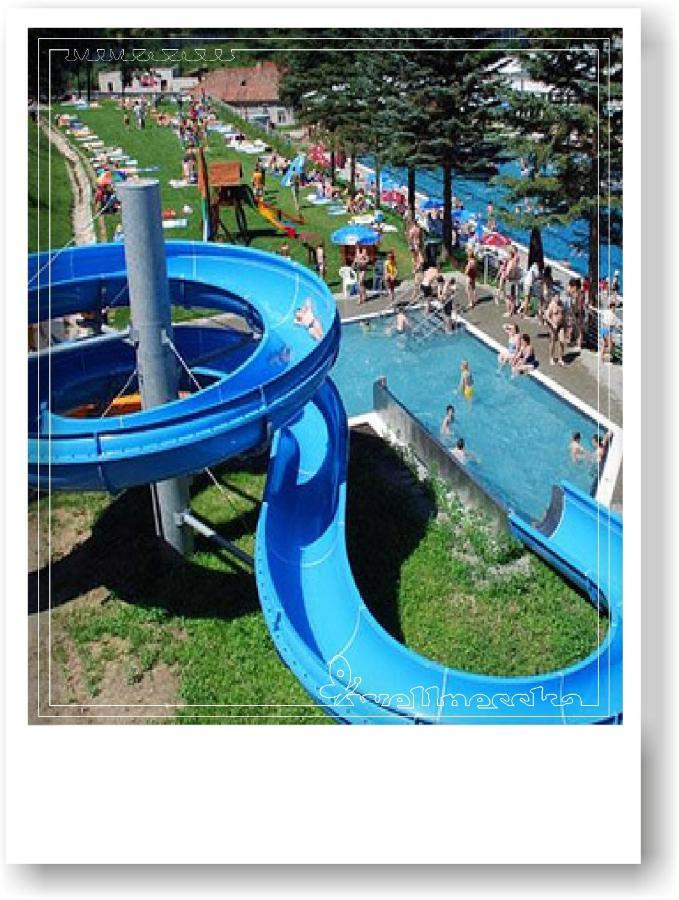 Wellnesska Vyhne Villa Kültér fotó