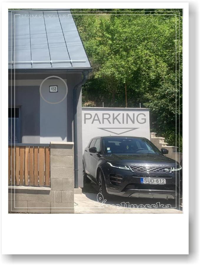 Wellnesska Vyhne Villa Kültér fotó