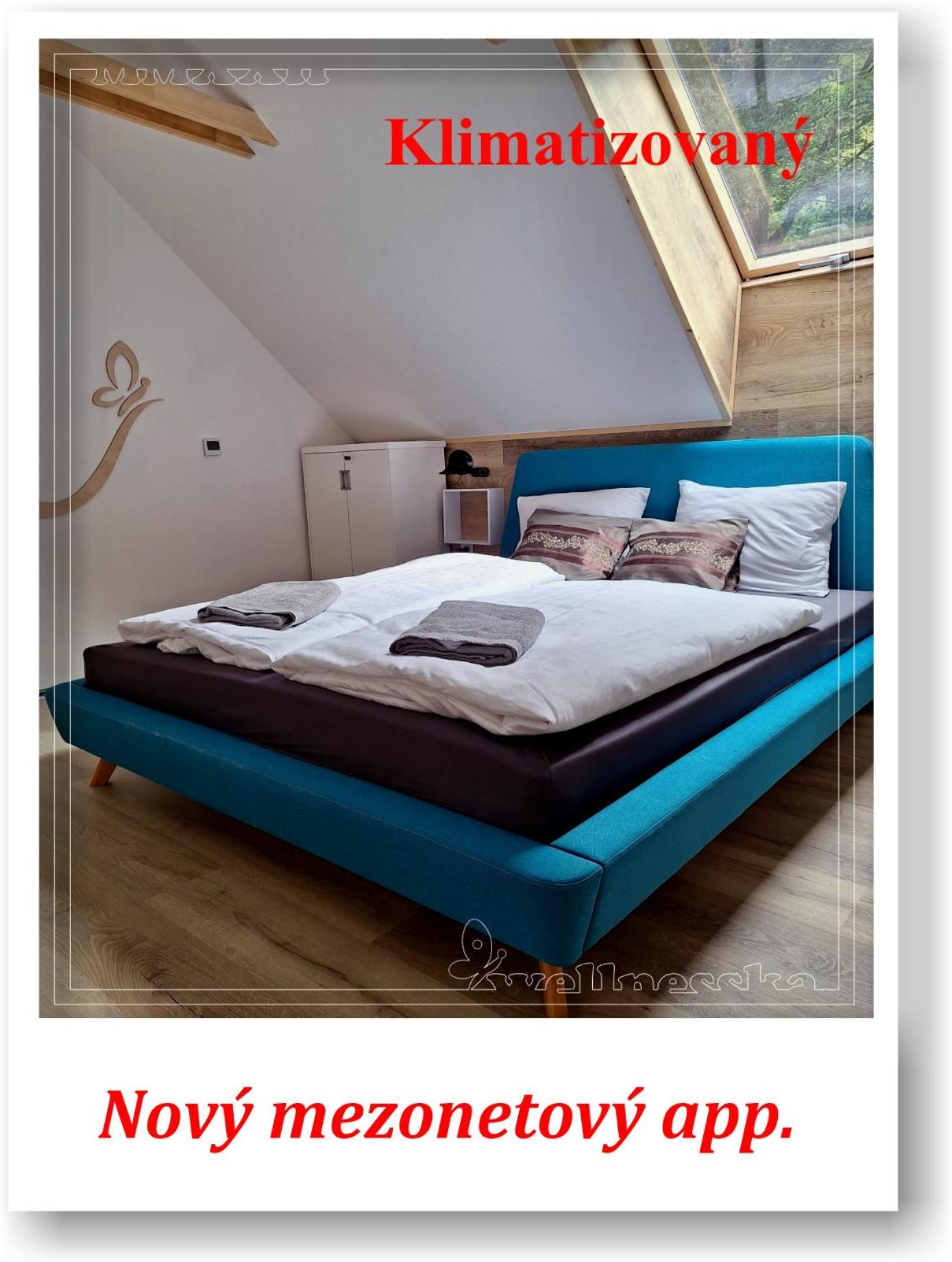 Wellnesska Vyhne Villa Kültér fotó